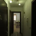 Willy Villy's Home- * צ'פלארה